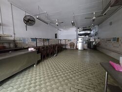 The Beccagayle (D15), Shop House #538995821